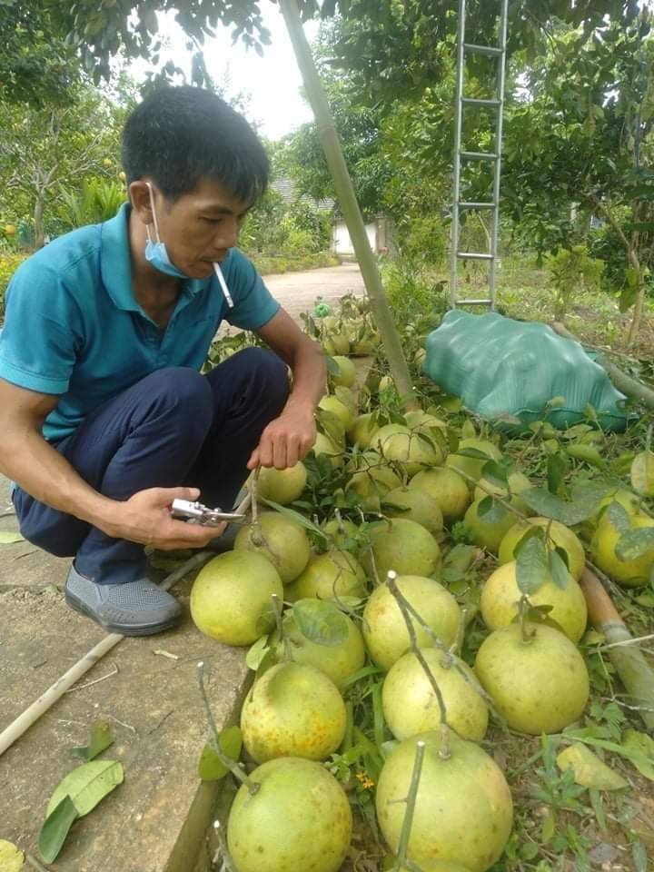 Trang trại Ngọc Hải Trang trại Ngọc Hải