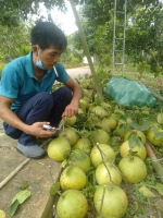 Trang trại Ngọc Hải