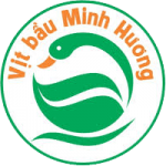 Vịt bầu Minh Hương