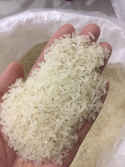 Gạo Dự hương Nam Định