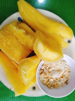 Sắn dẻo ruột vàng