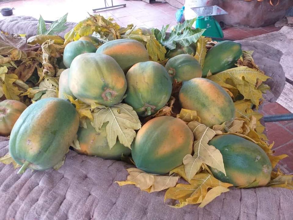 Nông sản Hòa Vân