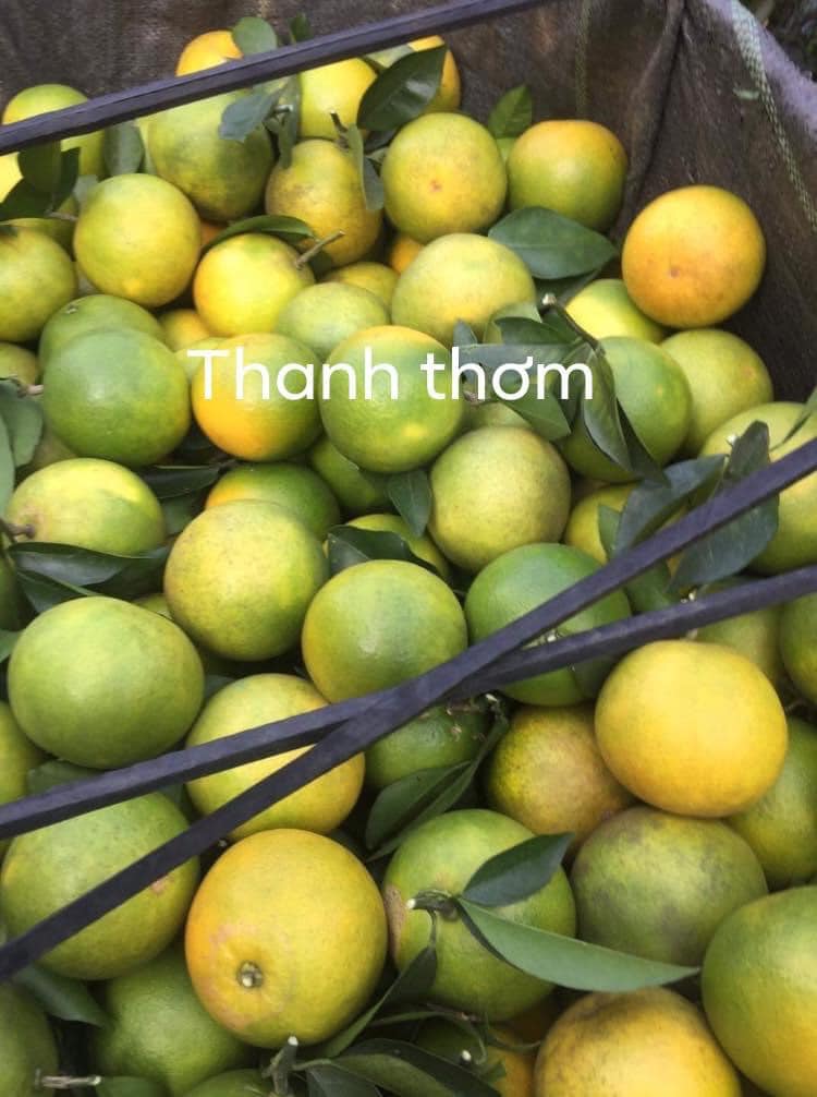 Nông sản Thanh Thơm Nông sản Thanh Thơm