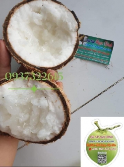 Dừa sáp Trà Vinh