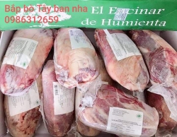 Bắp bò Tây Ban Nha và Úc