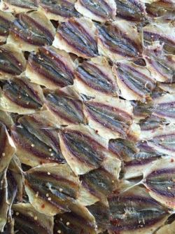 KHÔ CÁ CHỈ VÀNG LƯỚI/500GR