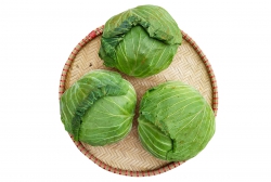 Bắp cải mềm - Đắk nông