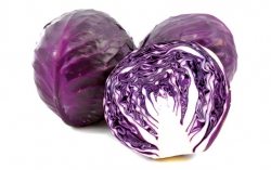 Bắp cải tím