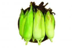 Bắp Mỹ ( một cặp )