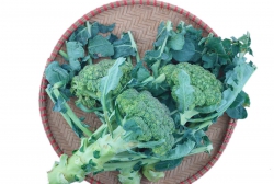 Súp lơ xanh Đà Lạt 1kg