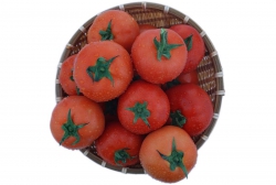 Cà chua beef nhỏ 1kg