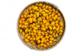Cà chua cherry vàng 1kg