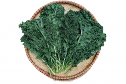 Cải kale 300gr