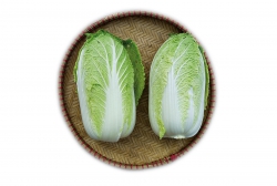 Cải thảo 1kg