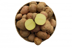 Khoai tây Đà Lạt 1kg