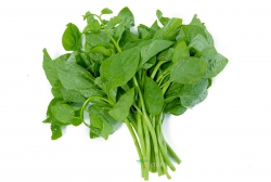Rau mồng tơi 400gr