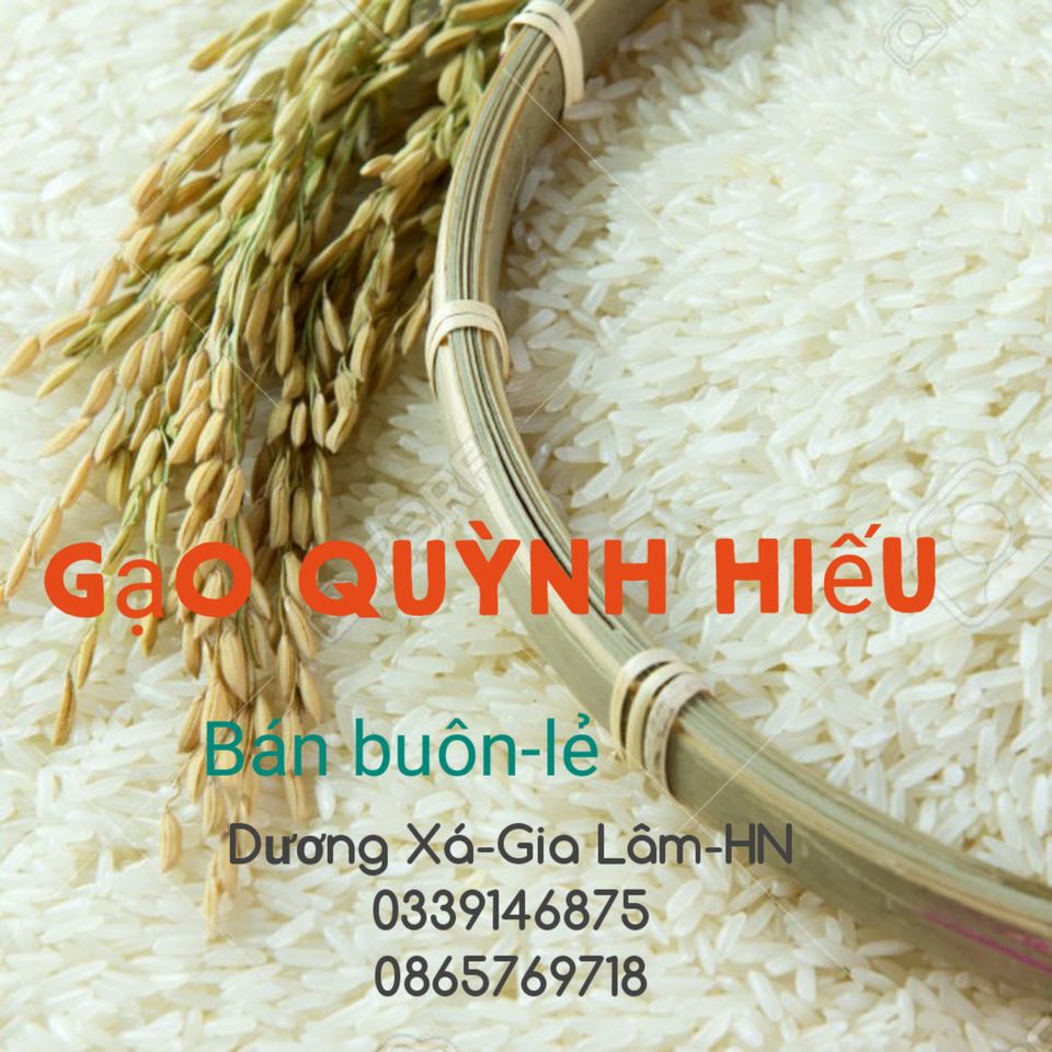 Gạo Quỳnh Hiếu