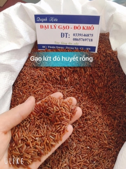 Gạo lứt đỏ huyết rồng