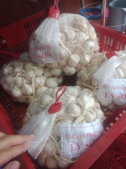 Tỏi Lý Sơn