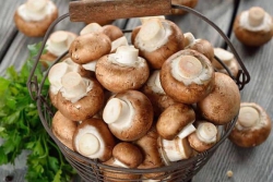 Nấm hương tươi