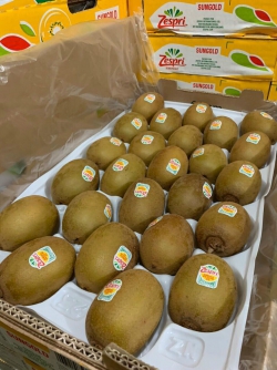 Kiwi vàng Newzealand