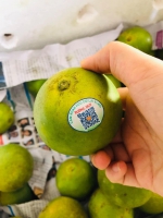 Trái cây NK Kiều Huyền