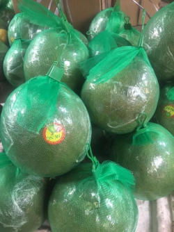 Bưởi da xanh Bến Tre