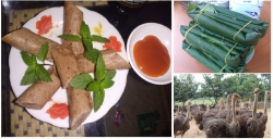 Giò đà điểu Ba Vì