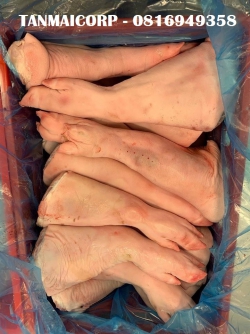 Chân giò trước nguyên cái 