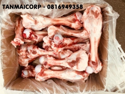 Xương ống trước MIRKAR - BA LAN 