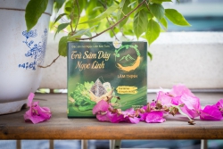 Trà túi lọc Sâm dây Ngọc Linh - 40g