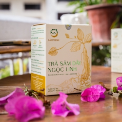 Trà túi lọc Sâm dây Ngọc Linh - 40g