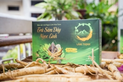 Trà túi lọc Sâm dây Ngọc Linh - 100g