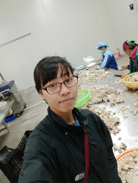 Nấm tươi Nấm tươi