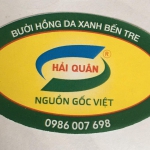 Bưởi hồng da xanh Bến Tre
