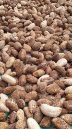 Đồ rừng Tây Bắc