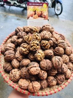 Hạt óc chó nếp 