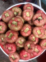 Trái cây miền Tây