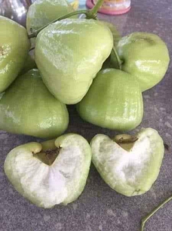 Roi đường xanh Tiền Giang