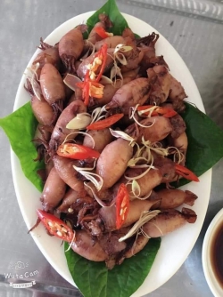 Mực sim trứng 1 nắng