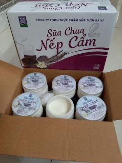 12 hũ sữa chua các vị