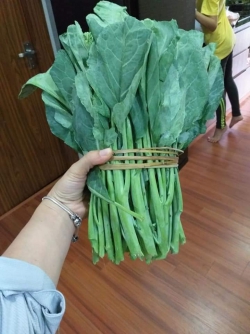 Ngồng cải làn Lạng Sơn