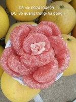 Hoa quả Đỗ Hà