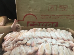 CÁNH GÀ XẾP LỚP