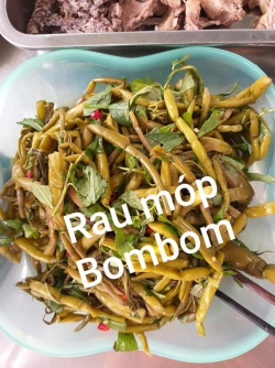 Rau móp chua