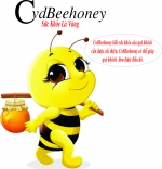 Mật ong Cvdbeehoney
