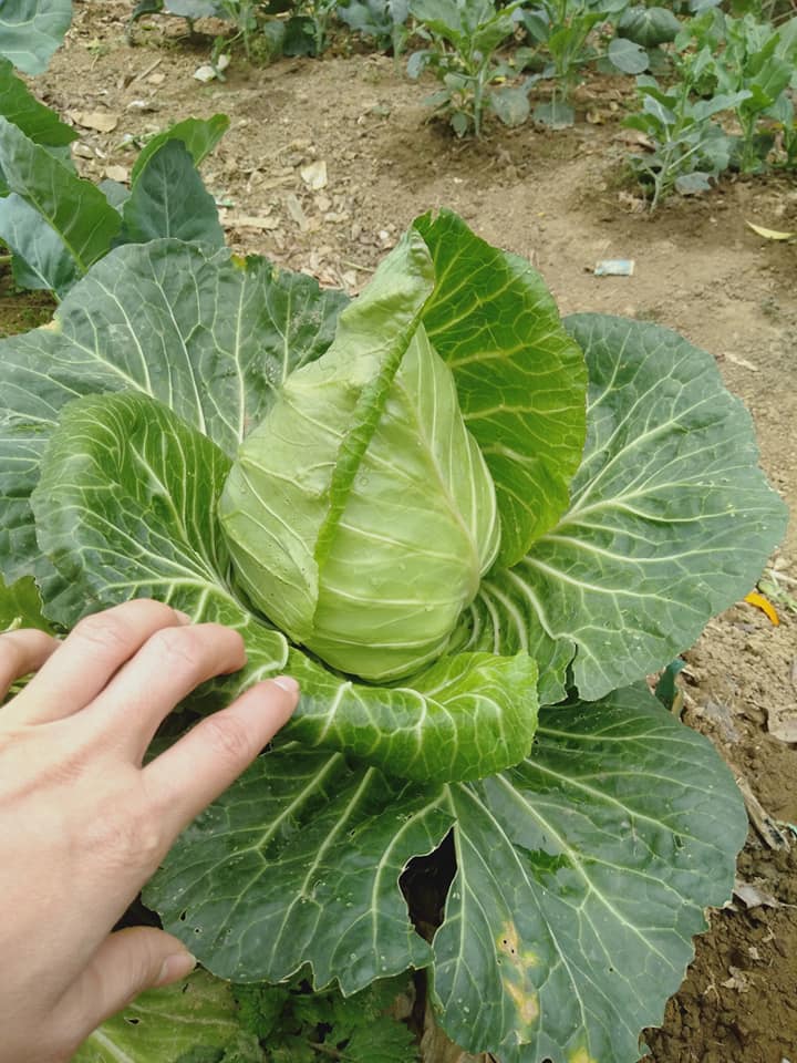Đặc sản núi rừng Đặc sản núi rừng