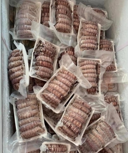 Nõn bề bề hấp