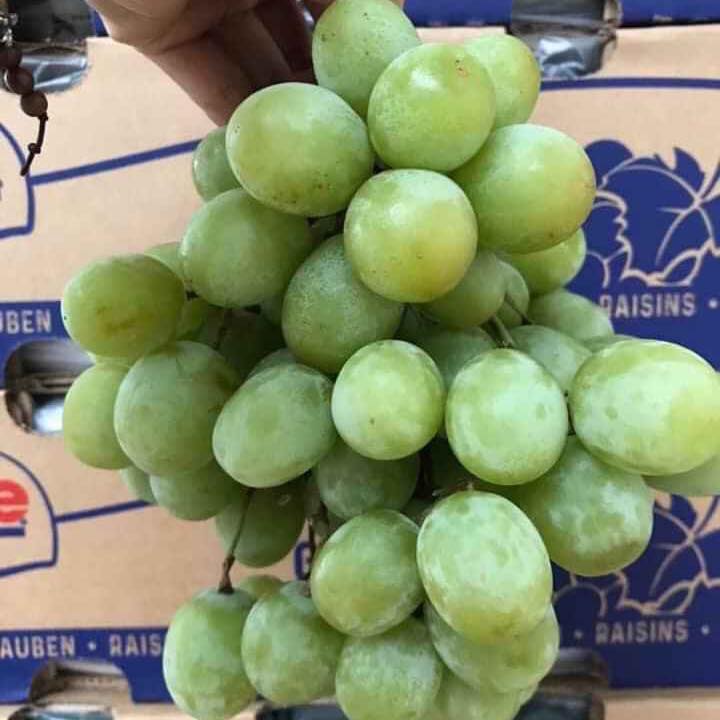 Hoa quả nhập khẩu Bống Fruit