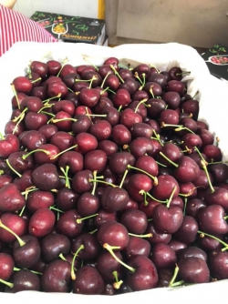 Cherry Mỹ